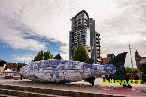 110526-IP26-Watermarked-5