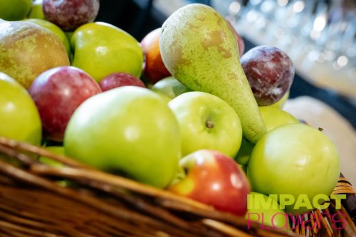 120526-IP26-Watermarked-69